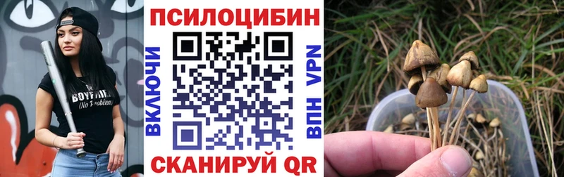 OMG онион  закладки  Дегтярск  Галлюциногенные грибы мухоморы 
