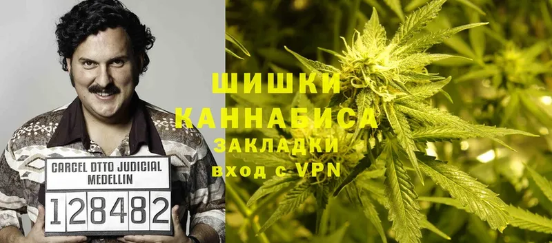 Канабис OG Kush  Дегтярск 